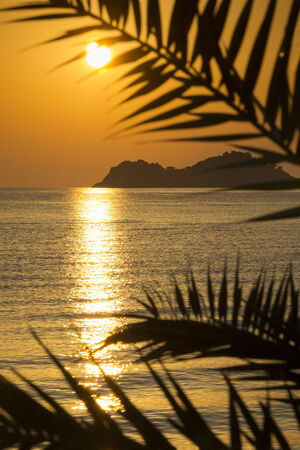 Beautiful golden sunrise on a greek island framed by palm leaves silhouettes.の写真素材