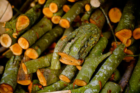 A pile of stacked logs of variable sizesの写真素材