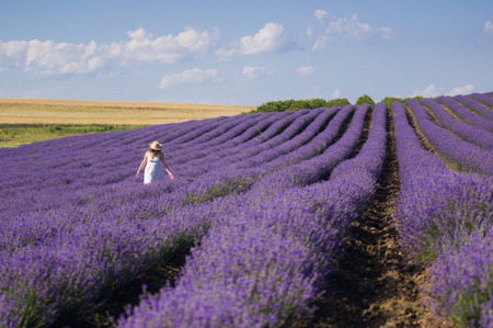 Young woman with white dress enjoying the beauty and fragrance of a filed of lavender in bloom.