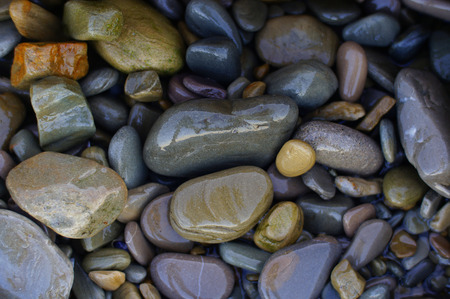 Variety of colorful wet pebbles at the beach.の写真素材