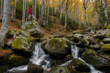 Young woman hiker standing on a big rock in the forest by a stream admiring the peace and beauty of autumn.の写真素材