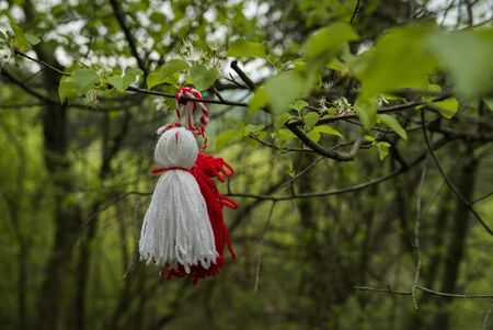 Martenitsa tied to a freshly green branch in spring.の写真素材