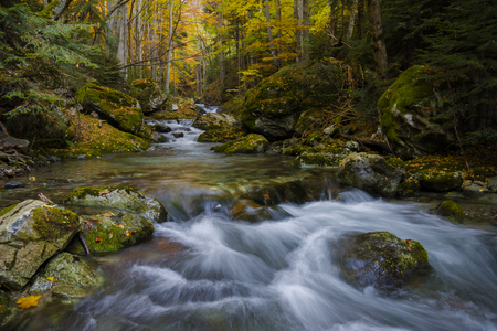 Magically coloful autumn in a wild old forest park with a pure stream cascading down the mountain.の写真素材