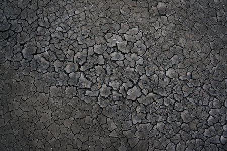 Grey mud backed in the sun creating a network of cracks.の写真素材