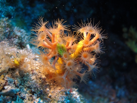 Underwater World