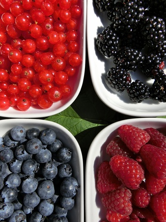 Berriesの写真素材