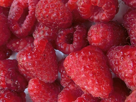 Raspberriesの写真素材