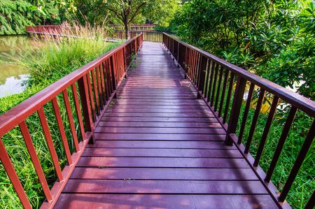 Bridge wood walk  in the garden.の写真素材
