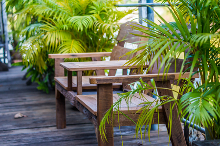 Wooden chair in garden with natureの写真素材