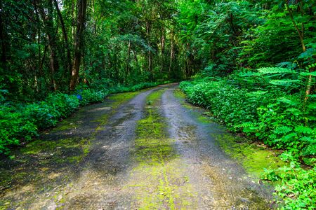 Jedkod-Pongkonsao Natural Study & Eco Center Water reservoir and natural scene with cycling way parkの写真素材