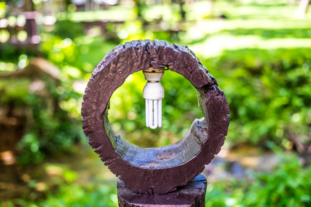 Lamps in wooden lamps at national park in thailand.の写真素材