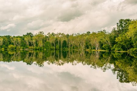 Landscape forest and reservoir views at thailand.の写真素材