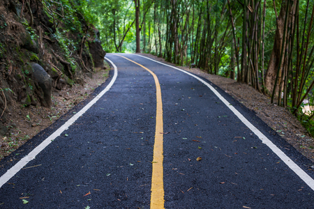 Asphalt road pavement at national park Chiang mai in Thailandの写真素材