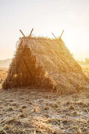 The native hut was built as a tourist accommodation and is a cottage built from rice straw used to feed animals after the harvest seasonの写真素材