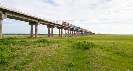 Train on the bridge railway cross over grass field in the dam of Thailand, for transportation.
