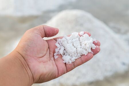 Salt farm , for produce seasoning and raw material for food product , farmer working together for keep it into warehouse on sunny day before shipment.の写真素材