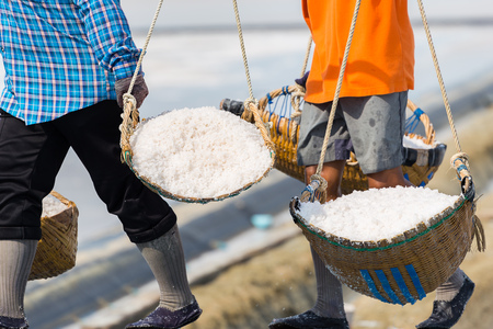 Salt farm , for produce seasoning and raw material for food products , the farmer working together to keep it into warehouse on sunny day before shipment.の写真素材