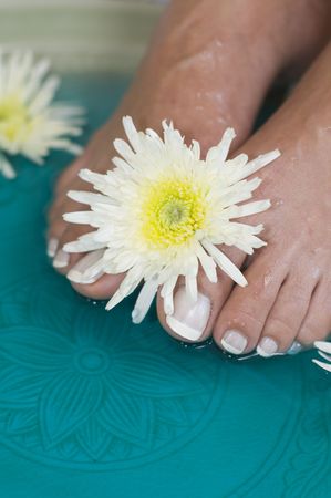 Feet enjoy a relaxing aromatherapy foot soak at day spaの写真素材