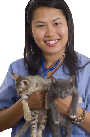 Woman veterinarian holding 2 kittensの写真素材