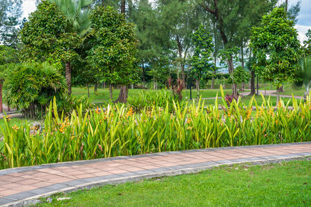 Sidewalk in Titiwangsa Park, Malaysiaの写真素材