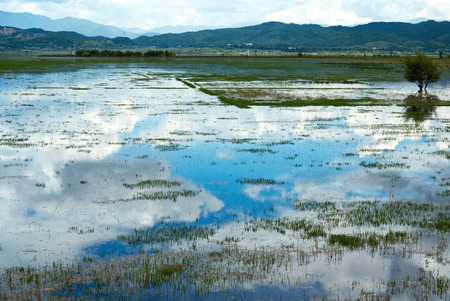 Lashihai international wetland near Lijiang. Wetlands of International Importance (Ramsar)の写真素材