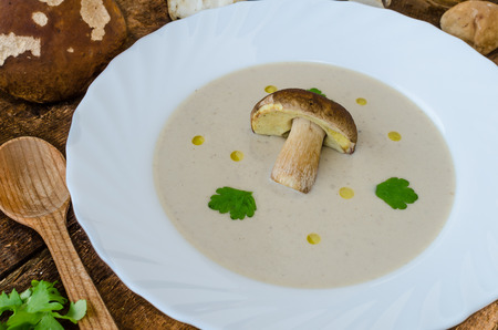 Mushrooms soup creame with czech mushrooms from woodの写真素材