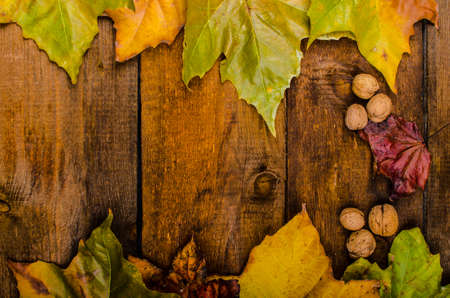 Autumn leaves on wood board, beauty of natureの写真素材