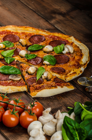 Rustic pizza with salami, mozzarella and spinach on a clay plateの写真素材