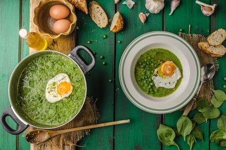 Soup of young peas with spinach, olive oil and eggsの写真素材