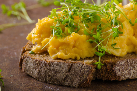 Scrambled eggs, wholegrain bread with fresh microgreens on topの写真素材