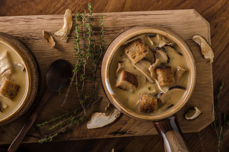 Rustic mushrooms soup, czech forest mushrooms, fresh collect in woodsの写真素材
