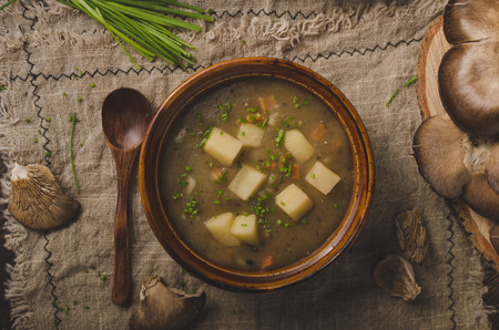 Homemade delish soup with herbs inside and oyster mushroomの写真素材