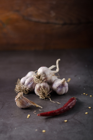 Bio garlic from garden, organic garlic on dark backgroundの写真素材