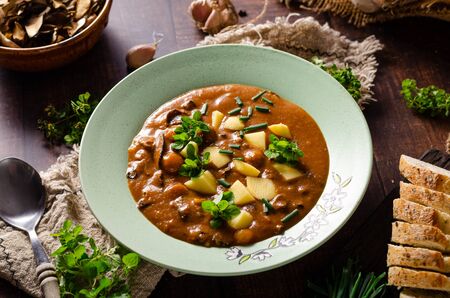 Simple but delish soup, fresh garlic and herbs with tomatoes and forest mushrooms, freshly collected