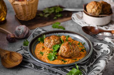 Fresh and bio food, grilled meatball with onion and garlic, curry tomato sauceの写真素材