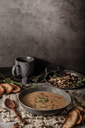 Delicious soup from forest mushrooms, crispy herb baguetteの写真素材