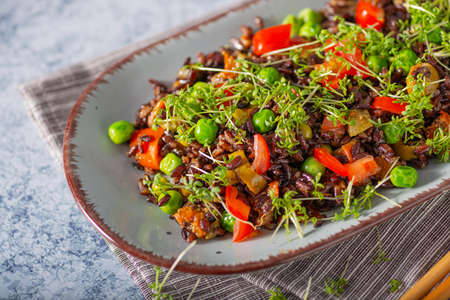 Delicious and organic black rice salad with microgreensの写真素材