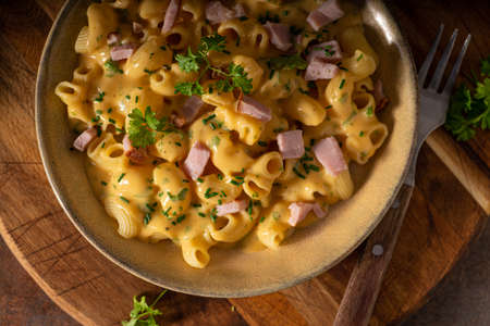 Delicous pasta with cheese sauce and organic herbsの写真素材