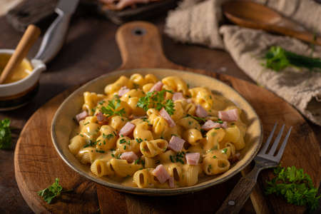 Delicous pasta with cheese sauce and organic herbsの写真素材