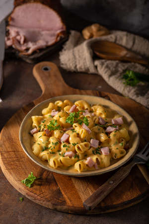Delicous pasta with cheese sauce and organic herbsの写真素材