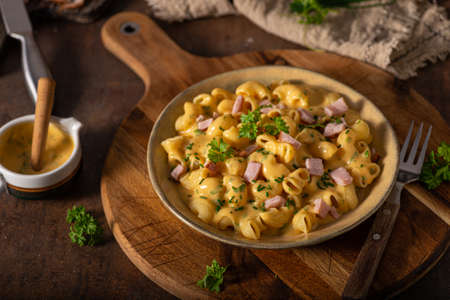 Delicous pasta with cheese sauce and organic herbsの写真素材