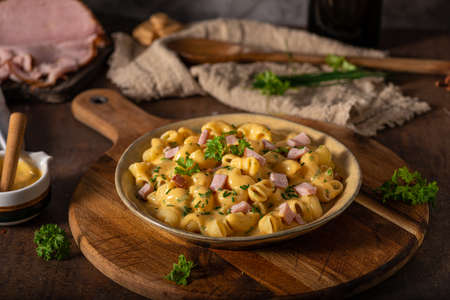 Delicous pasta with cheese sauce and organic herbsの写真素材