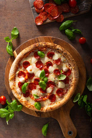 Delicous pizza with hot salami, parmesan and fresh basilの写真素材