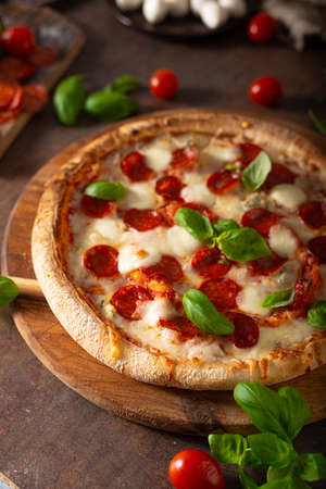 Delicous pizza with hot salami, parmesan and fresh basilの写真素材