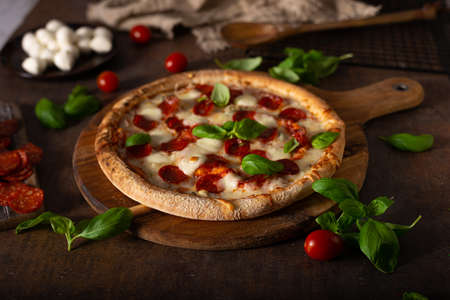 Delicous pizza with hot salami, parmesan and fresh basilの写真素材
