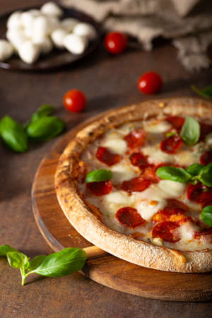 Delicous pizza with hot salami, parmesan and fresh basilの写真素材