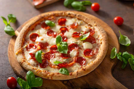 Delicous pizza with hot salami, parmesan and fresh basilの写真素材