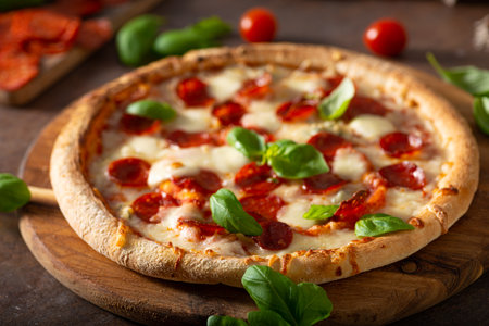 Delicous pizza with hot salami, parmesan and fresh basilの写真素材