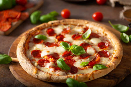 Delicous pizza with hot salami, parmesan and fresh basilの写真素材
