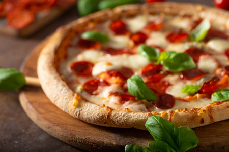 Delicous pizza with hot salami, parmesan and fresh basilの写真素材